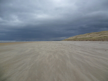 Mini_120225-013655-p1000056