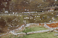 Mini_120228-043053-100103_glen_walk_011