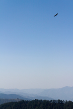 Mini_120301-162823-img_2187