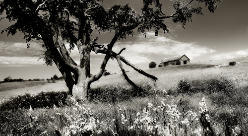 Abandoned Tobacco Barn, Speers County, Kentucky, USA