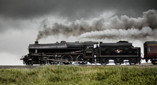 Mini_120307-043727-s_cblack5