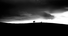 Mini_120309-040834-widdal_fell