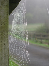 Mini_120312-144732-img_0948