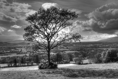 South Kilkenny landscape