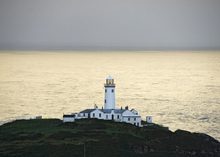 Mini_fanad