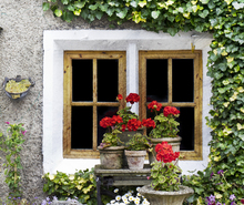 Mini_window