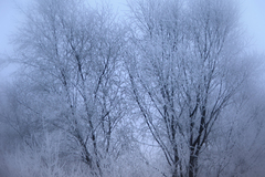 Taken on a cold November morning on my way to work.