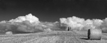 Mini_portrush_bales_010_copy_copy_copy