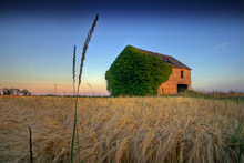 Mini_farmhouse1-1