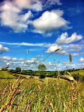 Mini_120901-100336-img_6428