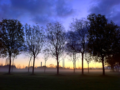 November morning in Sandymount