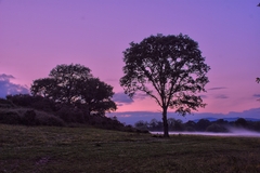A mist rises from the River Foyle at Silversprings in Mooncoin, County Kilkenny, Ireland.