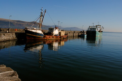 Boats docked at carlingford bay.