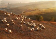 Mini_120902-224835-_dsc2756cnx29_7x21