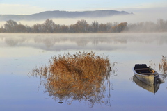 It was -2c this morning on the banks of the river Suir at Store Road, Mooncoin, Co. Kilkenny. This is a local spot for me, as I live a less than 1km from this location.
