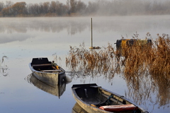 November frost rising from the river Suir at Store Road, Mooncoin in Co. Kilkenny.