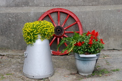 It is nice to see old farm implements put to good use.