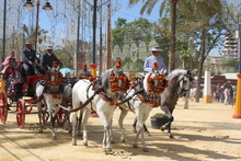 Feria Jerez de la Frontera