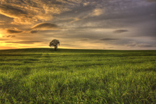 Mini_130617-235709-cb1q7888a