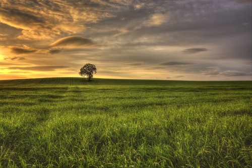 Carlow Sunrise