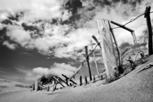 Mini_xshov0pv-beach_fence_bw