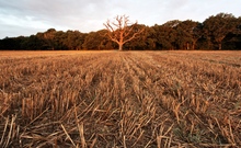 Mini_111202-082721-img_9090
