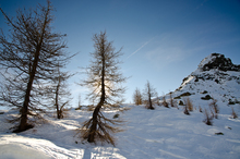 Mini_120207-093754-frs_4732-2