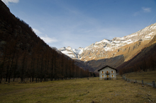 Mini_120216-140311-frs_3445