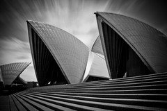 _mg_0223