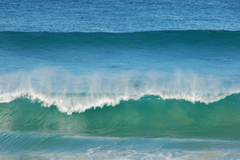Oceansurf