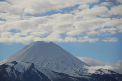 Whakapapa
