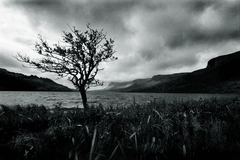 120202-120814-glencar%20lake,%20co%20sligo
